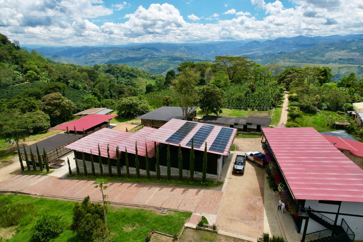Foto real de la finca de Herrera Café