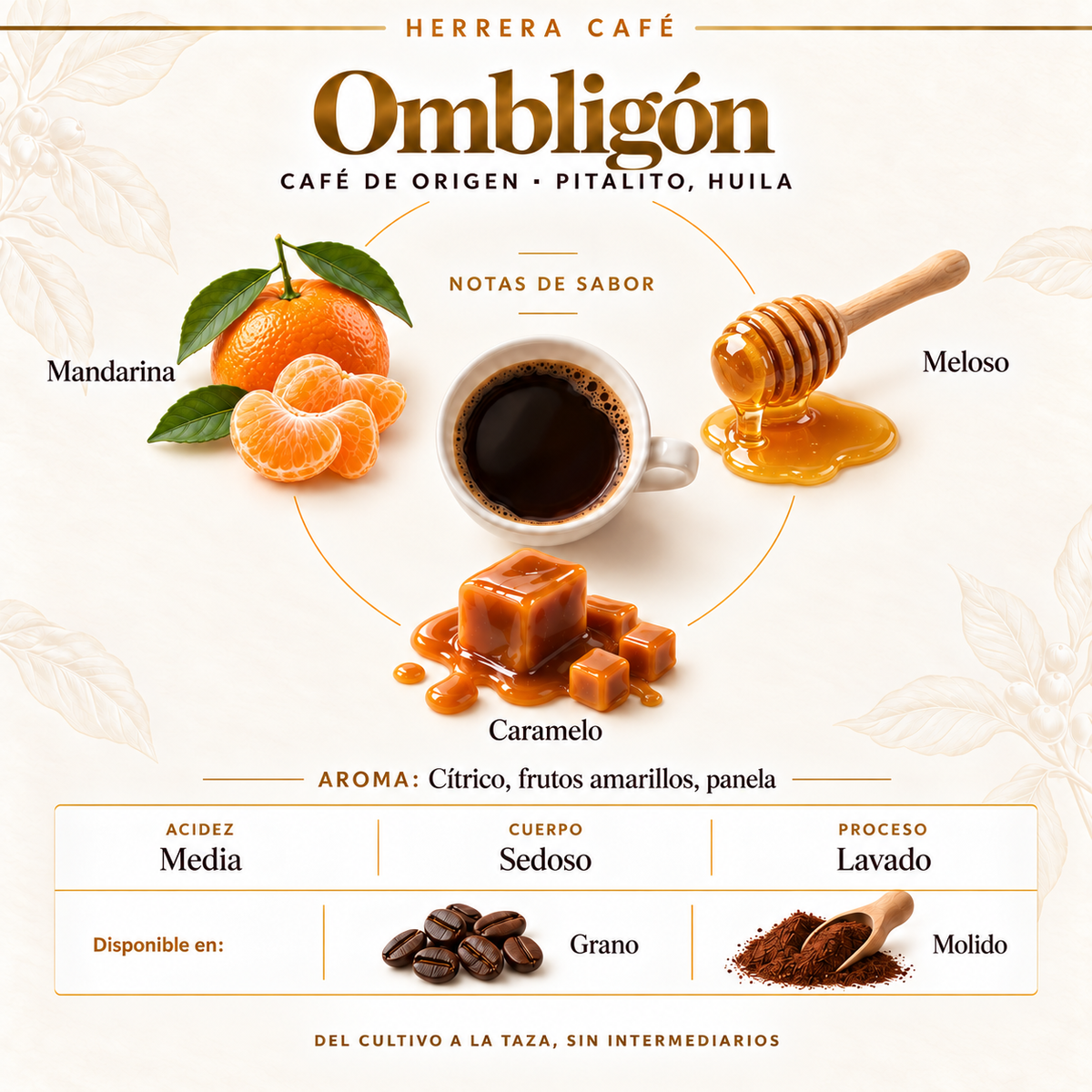Ombligón lavado. Notas de sabor: mandarina, meloso y caramelo. Aroma: cítrico, frutos amarillos y panela. Acidez media y cuerpo sedoso. Disponible en grano y molido.
